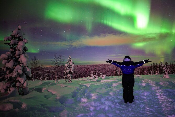 northern-lights-wilderness-small-group-tour-from-rovaniemi