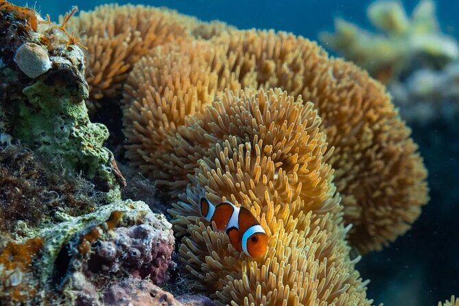 Northern Palawan Sailing Adventure from El Nido (2 nights 3 Days) - Practical Details and Tips