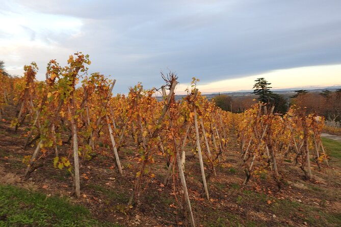 northern-rhone-valley-from-lyon-to-hermitage-full-day