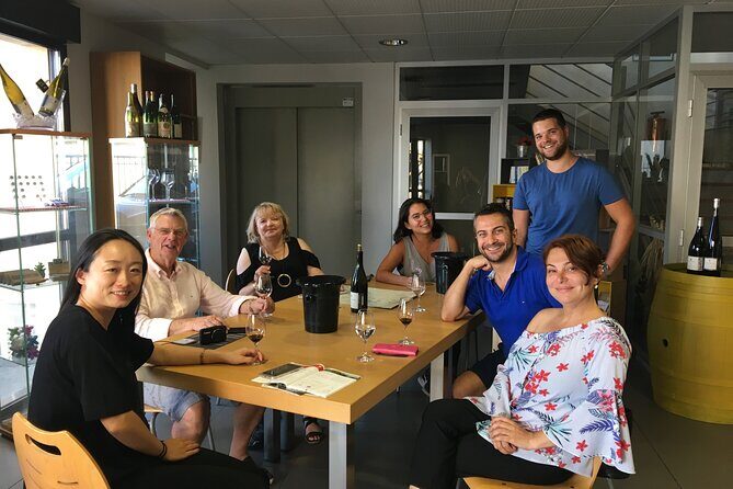 Northern Rhône Valley Wine tour from Lyon Half Day - Who Would Love This Tour?