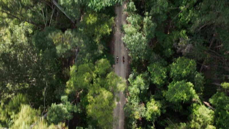 Northern Rivers Rail Trail E-Bike Hire w Shuttle from Byron - Who This Tour Is Best For