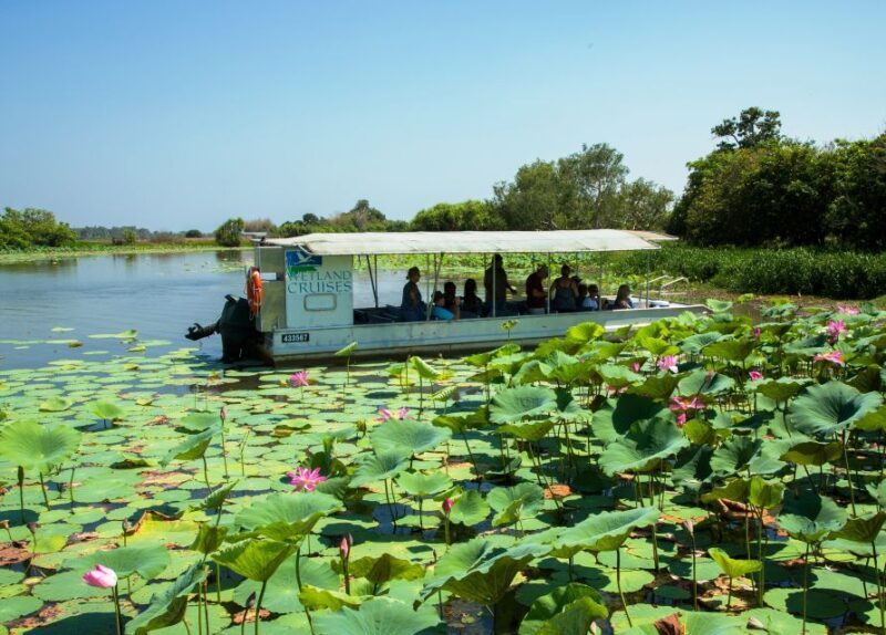 Northern Territory: Corroboree Billabong Nature Cruises - The Sum Up