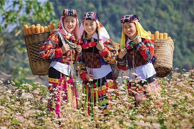 Northern Vietnam Uncovered Ha Giang Exploration from Hanoi - Key Points