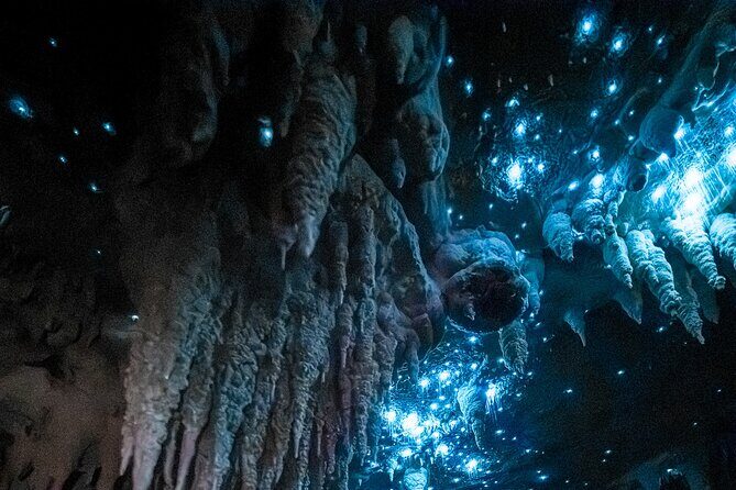 Northland Hidden Gems Glowworm Cave, Beach and Café Experience - Key Points