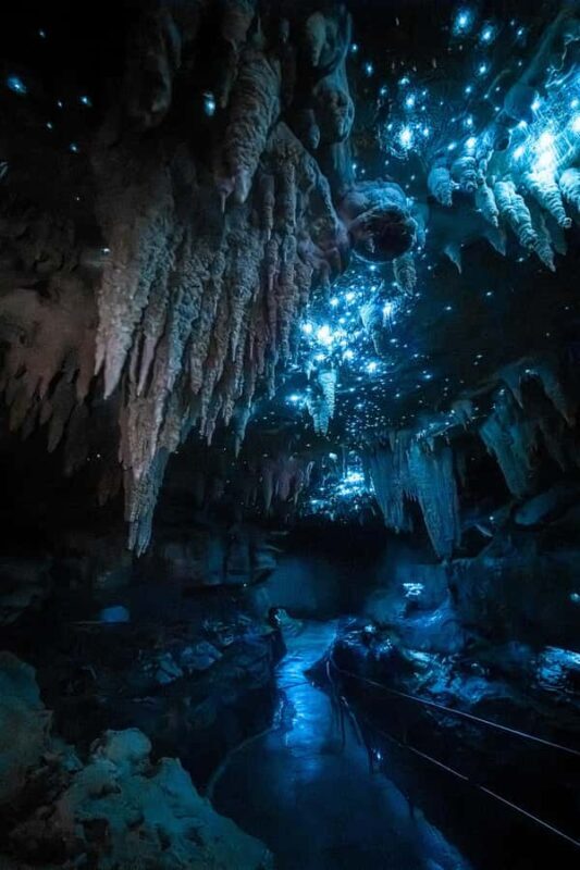 Northland Hidden Gems: Glowworm Cave, Beach & Art Café - Authentic Experiences and Hidden Treasures