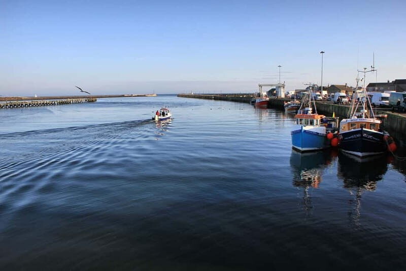 Northumberland: 6 hour Coastal Food Tour - Who Will Enjoy This Tour?