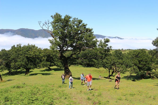 Northwest Terraces and Volcanic Pools 4x4 Full Day Tour - Final Thoughts: Who Will Love This Experience?