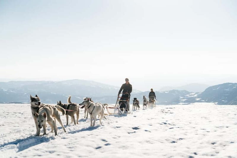Norway: 2-Day Dogsledding Tour with Glacier Campsite - Why This Tour Stands Out