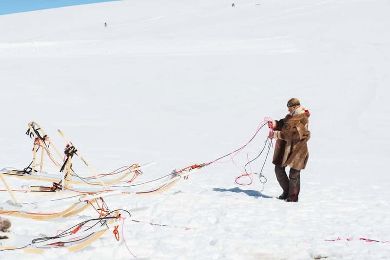 Norway: Half Day Dog Sledding on the Folgefonna Glacier - An In-Depth Look at the Folgefonna Glacier Dog Sledding Tour