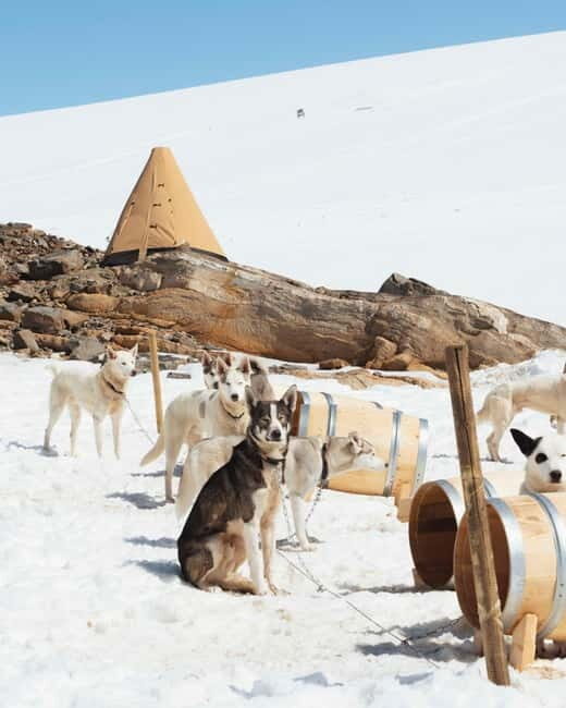 Norway: Overnight Stay at Glacier Campsite - FAQ