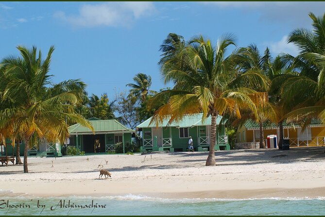 norwegian-viva-at-la-romana-port-saona-island