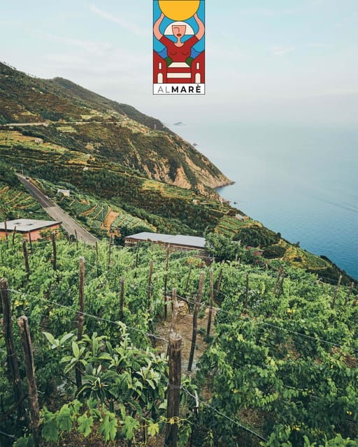 not-always-the-same-cinque-terre-unknown