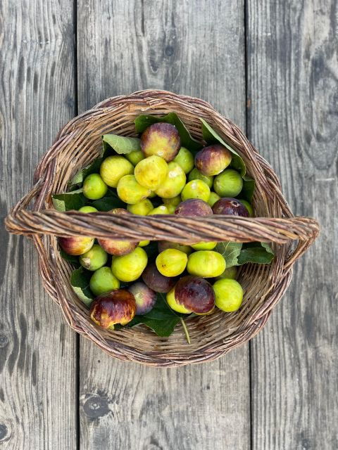 noto-farm-to-fork-in-sicily-cooking-class-in-a-farm