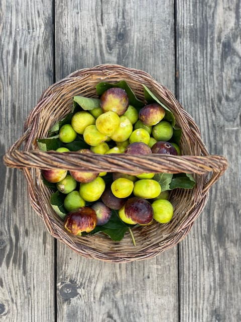noto-farm-to-fork-in-sicily-cooking-class-in-a-farm