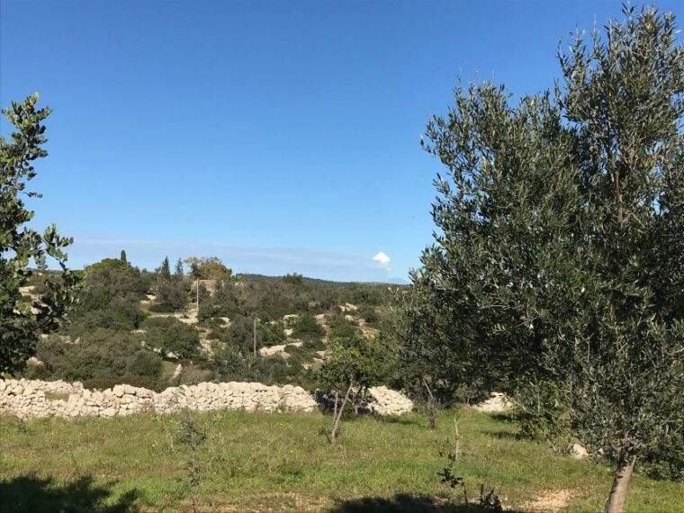 noto-farm-to-fork-in-sicily-cooking-class-in-a-farm