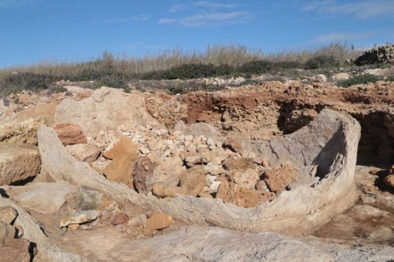 noto-guided-trekking-and-birdwatching-at-vendicari-reserve