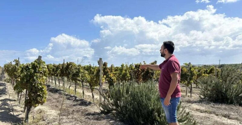 noto-wine-tasting-and-estate-tour-with-local-products