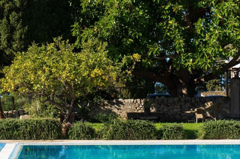noto-wine-tasting-and-estate-tour-with-local-products