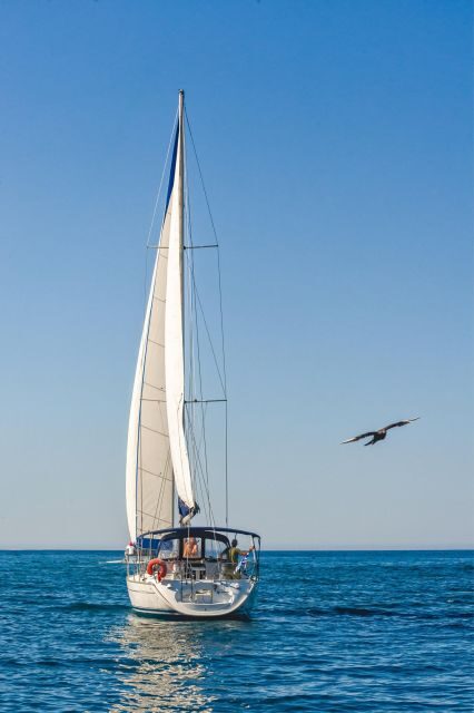 Notos half-day cruise - Practical Considerations 