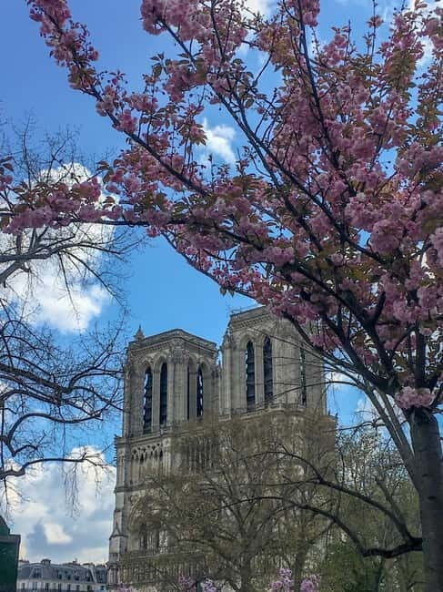 Notre Dame Ile De La Cité Walking Tour & Seine River Cruise - Key Points  