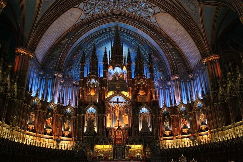 Notre-Dame: Tour with Guide and Optional Seine River Cruise - What to Expect from the Tour