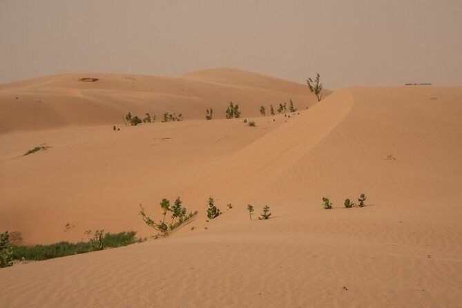 Nouakchott Explorer: Private Capital Tour - FAQ