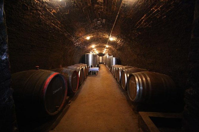 novi-sad-and-sremski-karlovci-private-tour-with-wine-tasting