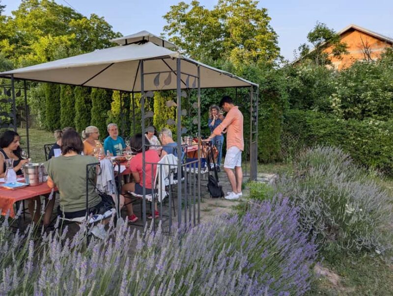 Novi Sad: Fruka Gora Wine Tasting with Local Bites - A Detailed Look at the Fruka Gora Wine Tasting Experience