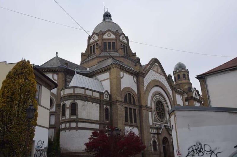 Novi Sad Private Walking Tour - An Introduction to Novi Sad’s Charm