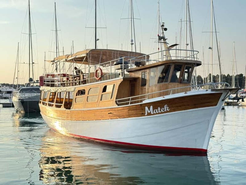 Novigrad: Sunset Dolphin Watching Boat Tour by Matek - Key Points