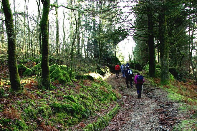 nozzle-horn-protected-landscape-area