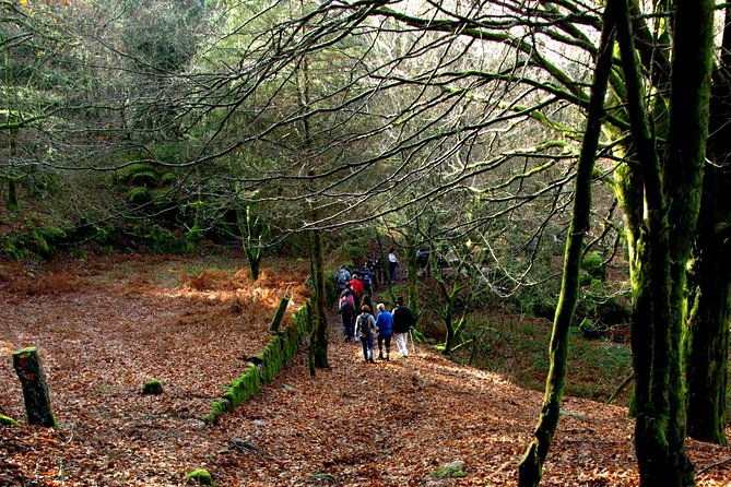 nozzle-horn-protected-landscape-area