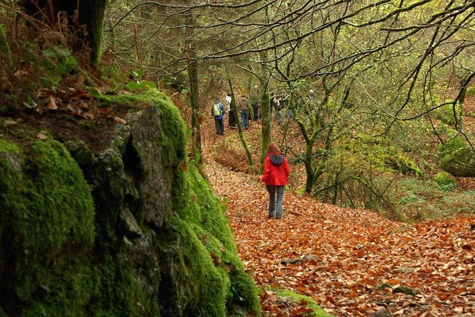 nozzle-horn-protected-landscape-area