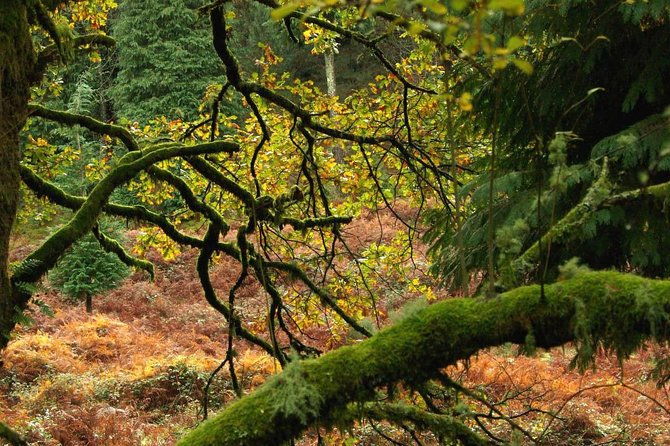 nozzle-horn-protected-landscape-area