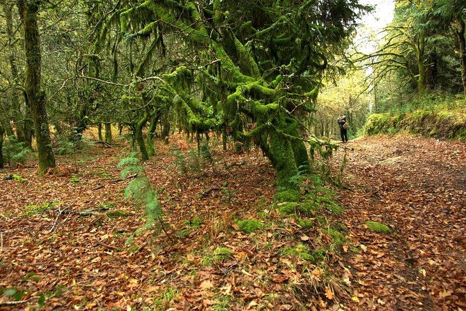 nozzle-horn-protected-landscape-area