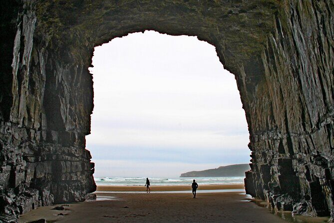 Nugget Point and Cathedral Caves Private Tour from Dunedin - An Overview of the Experience