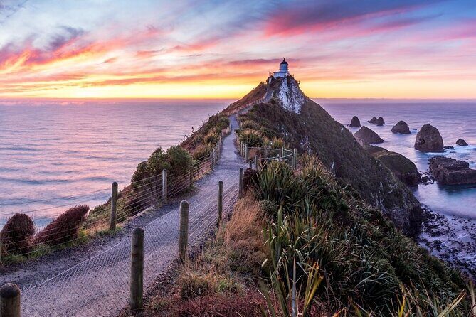 Nugget Point and Cathedral Caves Private Tour from Dunedin - Who Will Love This Tour?