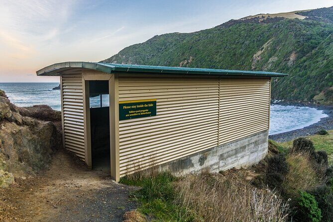 Nugget Point and Cathedral Caves Private Tour from Dunedin - Who Should Book This Tour?