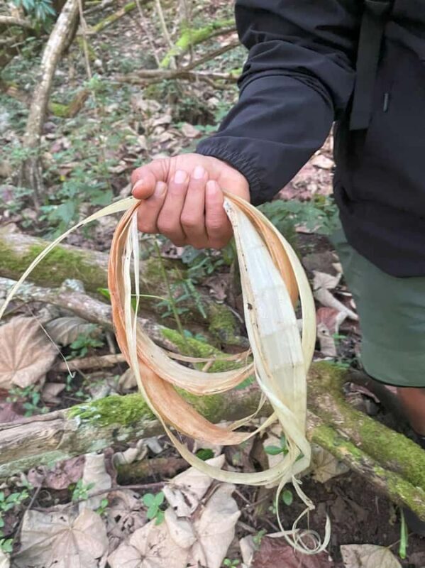 Nuku Hiva: Excursion to the top of the Vaipo waterfall. - Final Thoughts