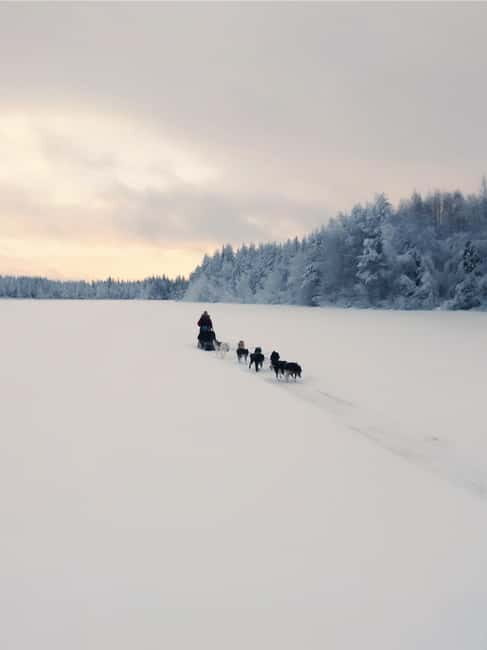 Nulkki Husky Adventure - Final Thoughts