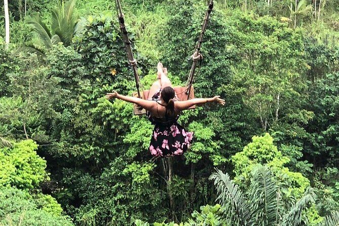 Nungnung waterfall, Sangeh village & Bali swing - An Overview of the Tour Experience
