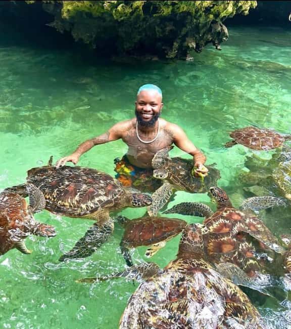 Nungwi Aqurium with sunset at kendwa Beach (half day tour) - An In-Depth Look at the Experience