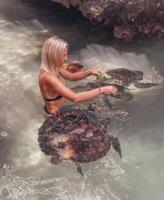 Nungwi Aqurium with sunset at kendwa Beach (half day tour) - FAQ: Your Questions Answered