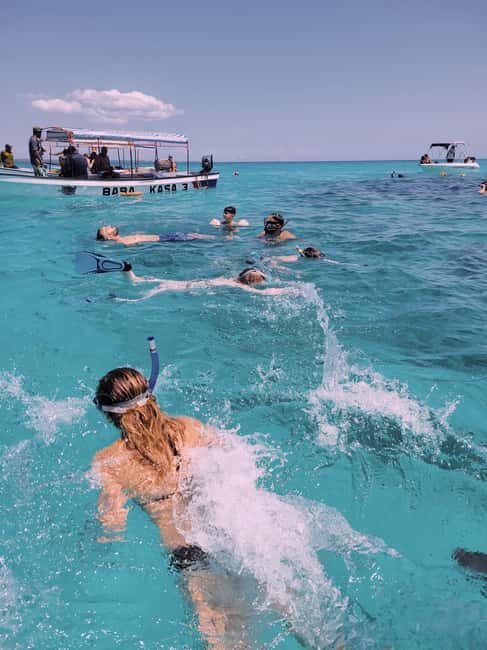 Nungwi: Dolphins,snokerlling &/or sunset cruising tour - Key Points