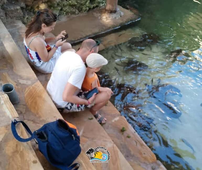 Nungwi: Swim & Snorkel with Turtles at The Lagoons Zanzibar - Key Points