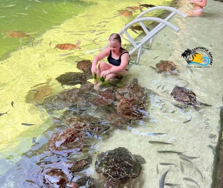 Nungwi: Swim & Snorkel with Turtles at The Lagoons Zanzibar - Who Will Love This Tour?