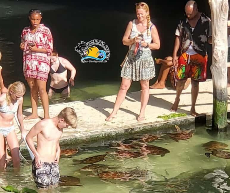 Nungwi: Swim & Snorkel with Turtles at The Lagoons Zanzibar - Final Thoughts