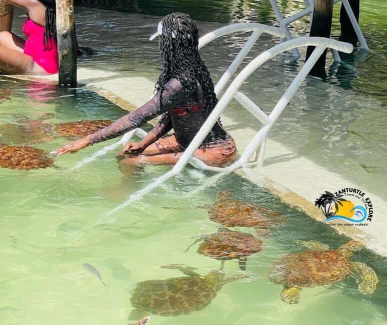 Nungwi: Swimming with Turtles at The Lagoons Zanzibar - Key Points