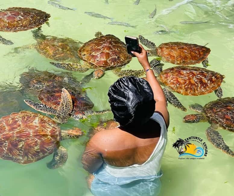 Nungwi: Swimming with Turtles at The Lagoons Zanzibar - Practical Tips for Your Tour