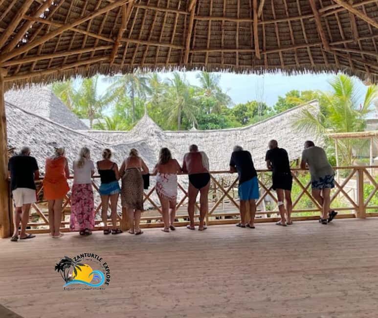 Nungwi: Swimming with Turtles at The Lagoons Zanzibar - Why This Tour Is Worth It